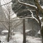 福岡の雪景色