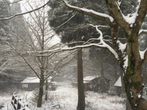 福岡の雪景色