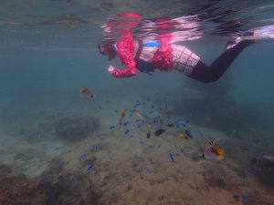 沖縄のビーチで熱帯魚と泳ぐ